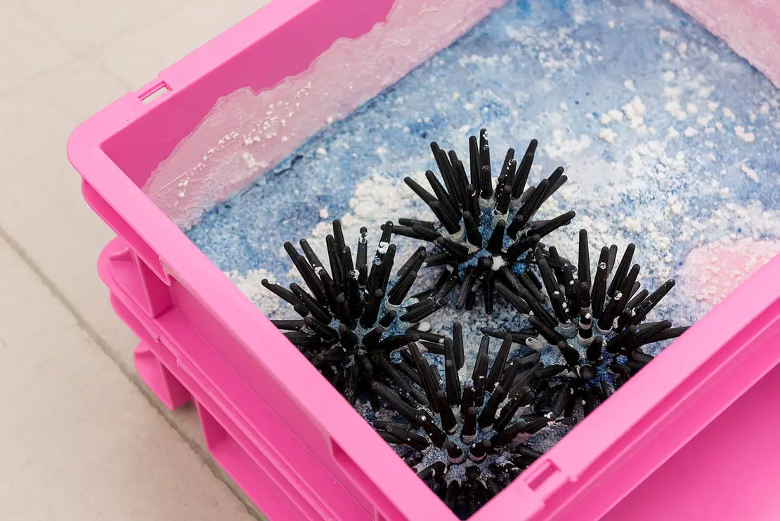 Daniela Graboschs, Detail von I PREFER FACTS TO MOONDUST, 2022. Foto: Lea Sonderegger  