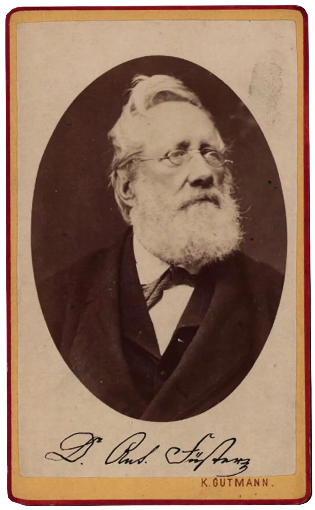 Anton Füster im fortgeschrittenen Alter, 1880, Wien Museum