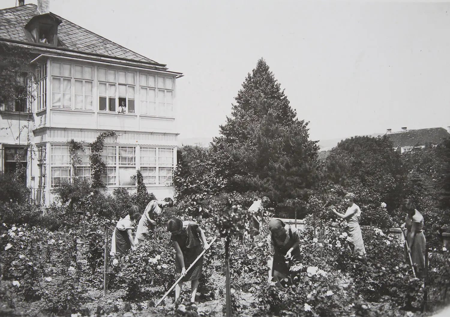 Gartenbauschule für Mädchen von Yella Hertzka in Grinzing, um 1930. Austrian Archives / brandstaetter images / picturedesk.com