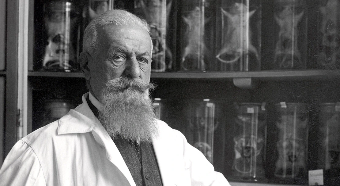 Der Sexualforscher Eugen Steinach (Ausschnitt), um 1940, Austrian Archives / brandstaetter images / picturedesk.com