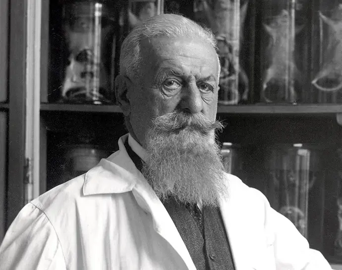 Der Sexualforscher Eugen Steinach (Ausschnitt), um 1940, Austrian Archives / brandstaetter images / picturedesk.com