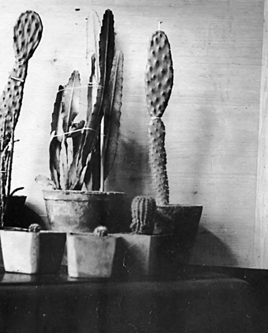 Anonyme Amateurfotografie, 1930, Archiv Susanne Breuss