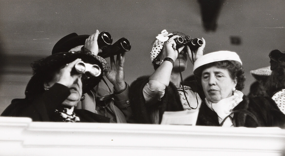 Heinrich Steinfest: Motiv aus dem Wiener Volksleben (Zuschauerinnen beim Pferderennen), 1956, Wien Museum  