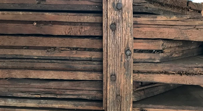 Foto: Karin Maierhofer