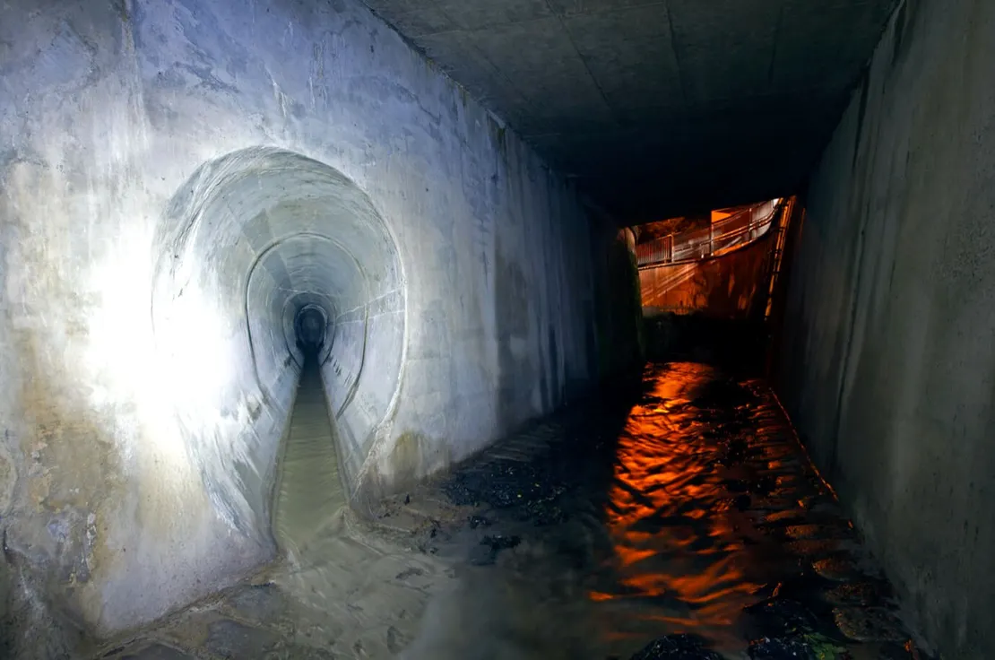 Nächtliches Stimmungsbild aus dem Schreiberbach. Foto: Thomas Keplinger