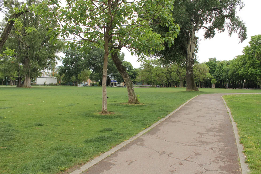 Die Kaiserwiese im Prater. Foto: Christian Hlavac