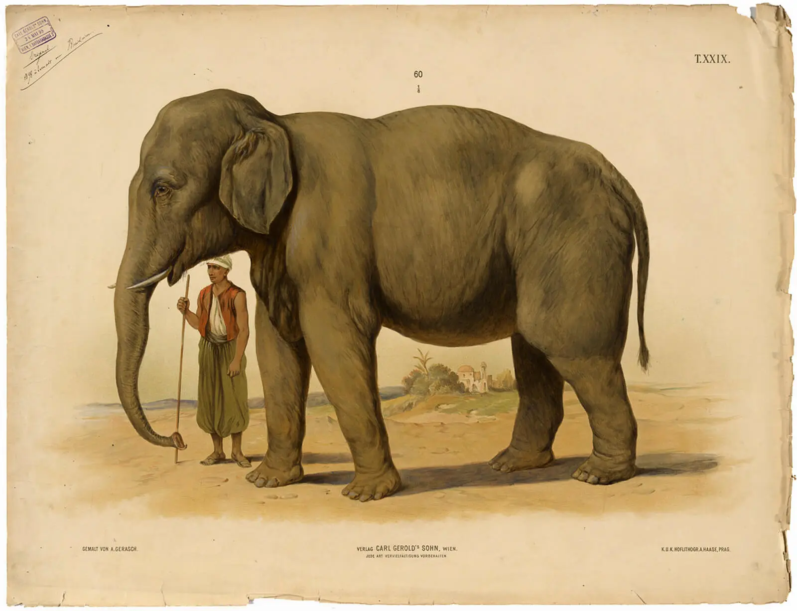 Schultafel nach einer Darstellung von August Gerasch d. Ä. u. Theodor Breidwiser, Verlag Carl Gerold’s Sohn, Ende 19. Jh., Wien Museum