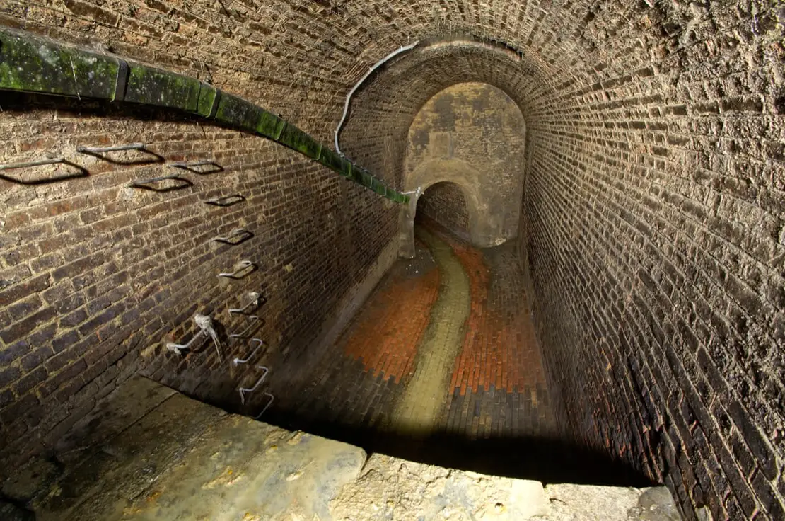 Die Steilstufe unter dem Bertha-Löwi-Weg. Foto: Thomas Keplinger