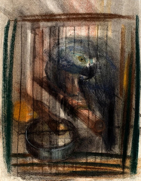 Lieselott Beschorner: Schako 3 (Graupapagei), 1955, Pastell auf Papier, Wien Museum, LB 1789  