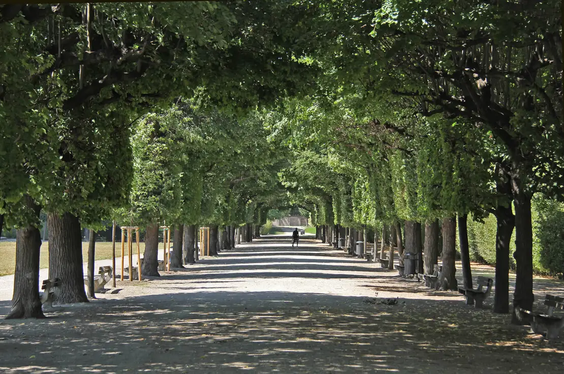 Ein Augarten-Spazier-Gang im wahrsten Sinne des Wortes. Foto: Christian Hlavac