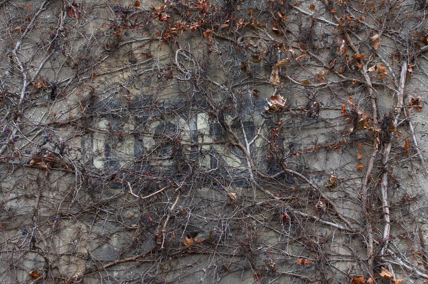 Nur im Winter ist die Aufschrift „North“ zu erkennen. Foto: Thomas Keplinger