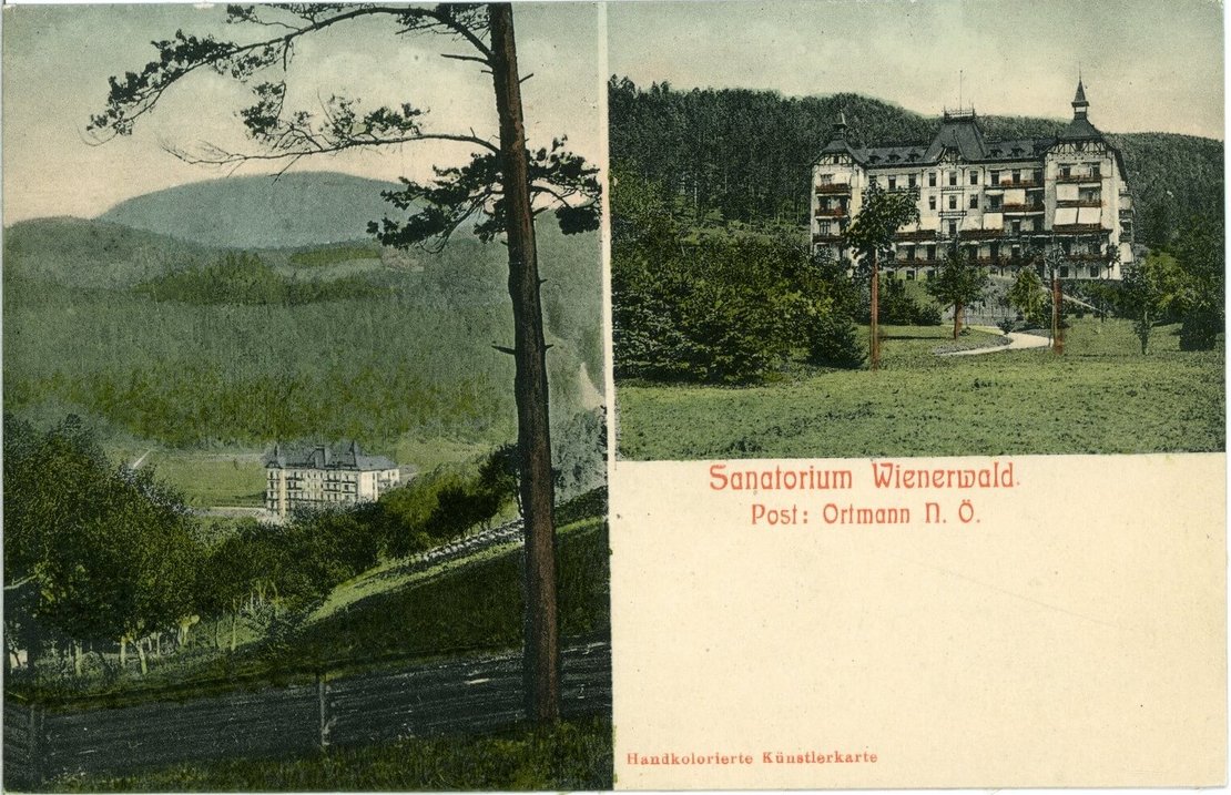 Das Sanatorium Wienerwald auf einer handkolorierten Ansichtskarte von 1908, Brück & Sohn Kunstverlag Meißen, Wikimedia Commons 