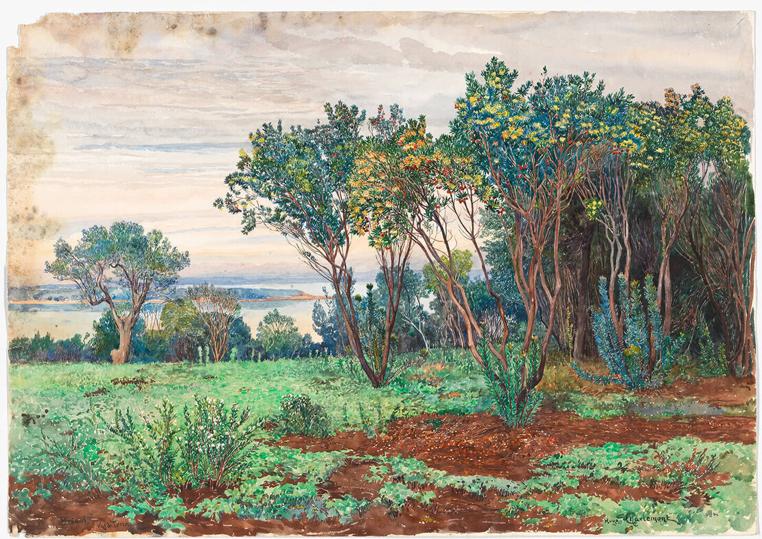 Wiesen- und Waldlandschaft auf Brione als Habitat für Mücken begünstigte die Verbreitung von Malaria, Aquarell von Hugo Charlemont, undatiert, Wien Museum  