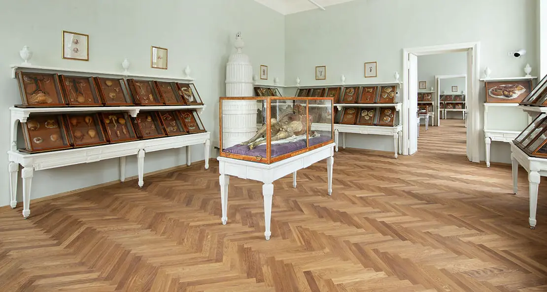 Saal mit Wachsmodellen, Foto: Bene Croy