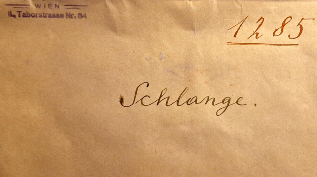 Kuvert von Adolf Mechners versiegeltem Schreiben vom 6. Juni 1936 (Ausschnitt), Archiv der Österreichischen Akademie der Wissenschaften