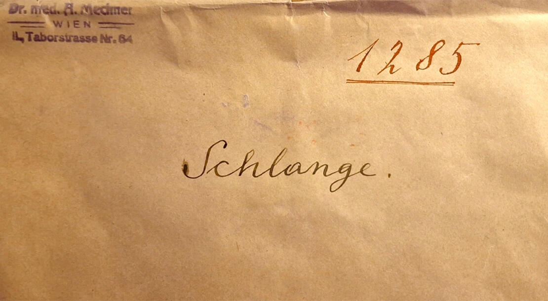 Kuvert von Adolf Mechners versiegeltem Schreiben vom 6. Juni 1936 (Ausschnitt), Archiv der Österreichischen Akademie der Wissenschaften  