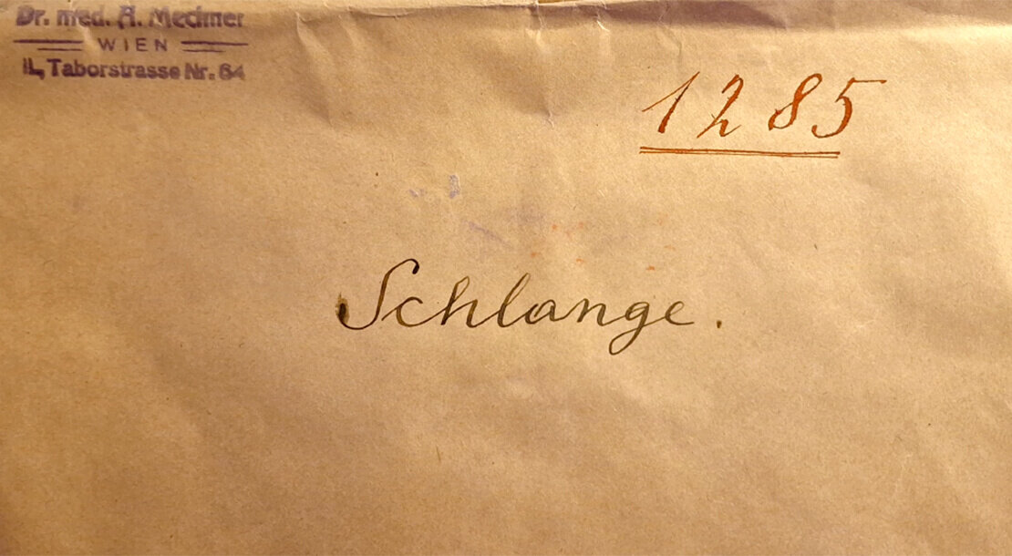 Kuvert von Adolf Mechners versiegeltem Schreiben vom 6. Juni 1936 (Ausschnitt), Archiv der Österreichischen Akademie der Wissenschaften