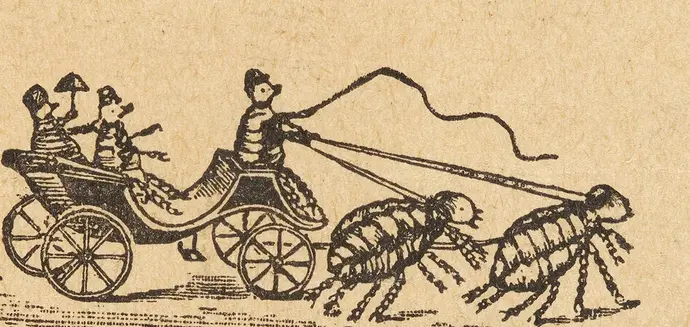 Illustration aus der „Floh-Zeitung. Eine bissige Extraausgabe für die Besucher des Flohzirkus im Prater“, um 1920, Wien Museum, Inv.-Nr. 173099