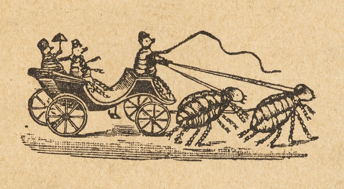 Illustration aus der „Floh-Zeitung. Eine bissige Extraausgabe für die Besucher des Flohzirkus im Prater“, um 1920, Wien Museum, Inv.-Nr. 173099  