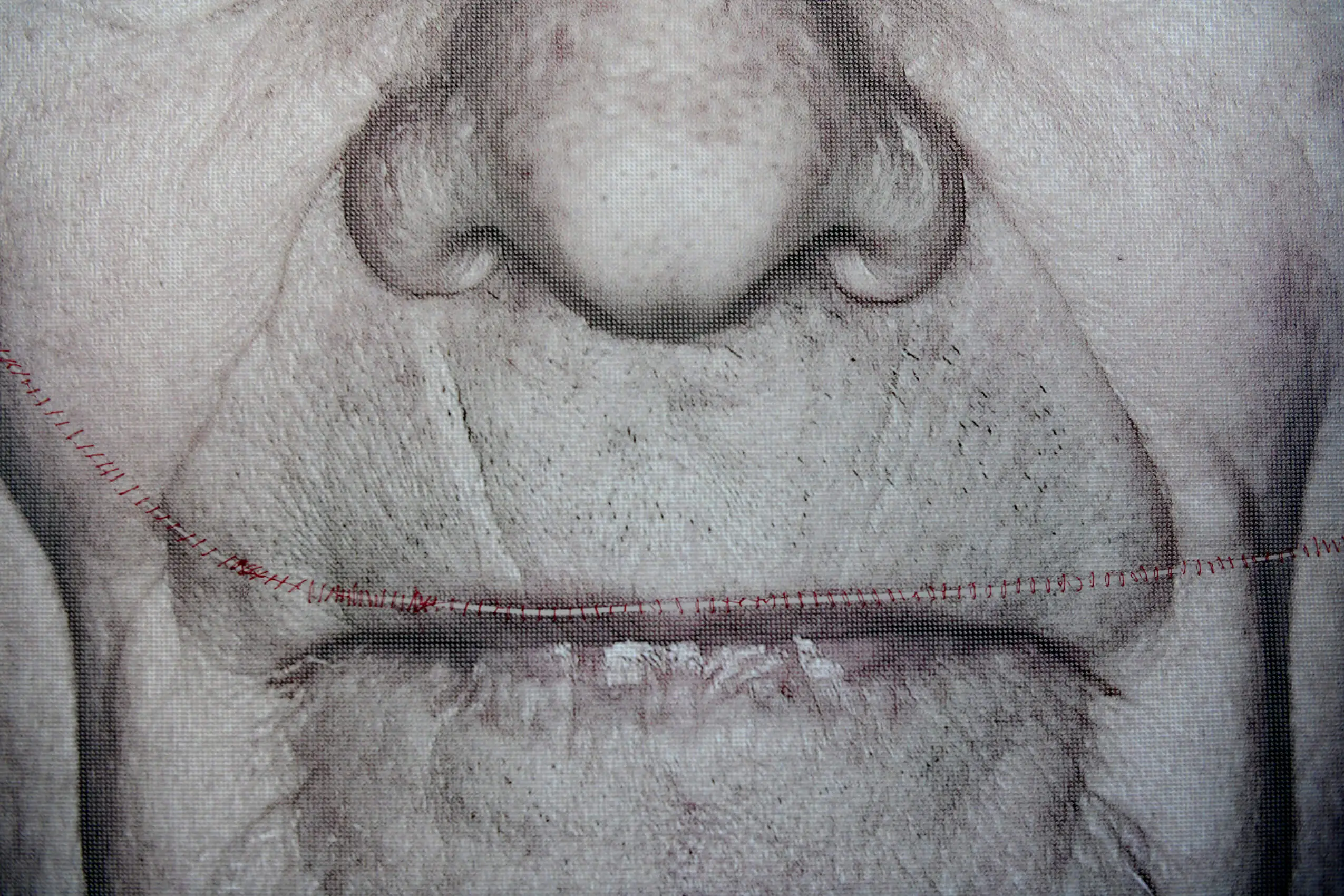 © Luigi Toscano/Repro:Heribert Corn  