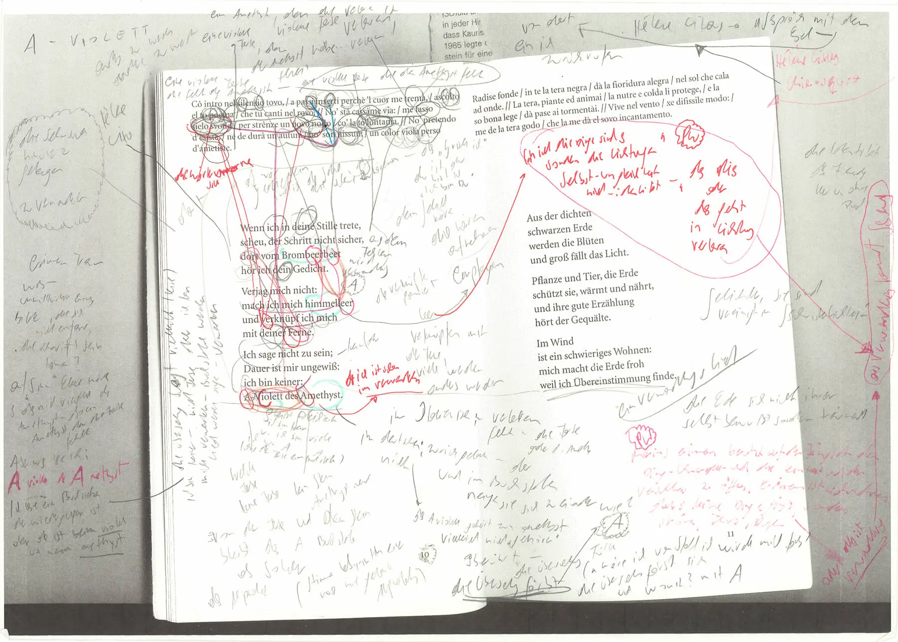 Natalie Neumaier: viola volando, 2018-2020, © Natalie Neumaier  