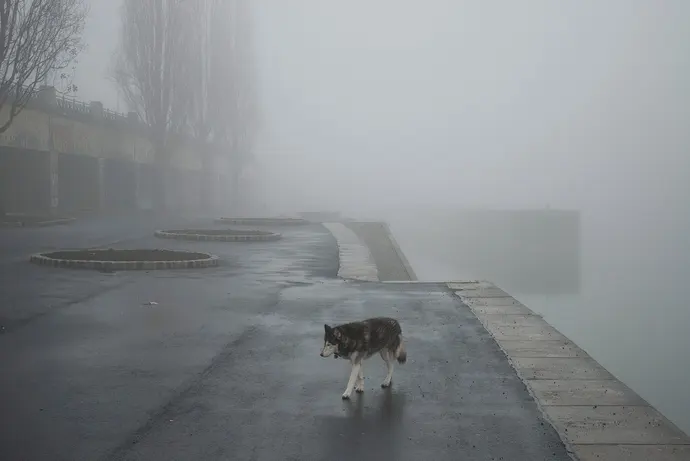 Reinhard Mandl: am Donaukanal, 2007, Wien Museum, Inv. Nr. MUSA 25/2014/263