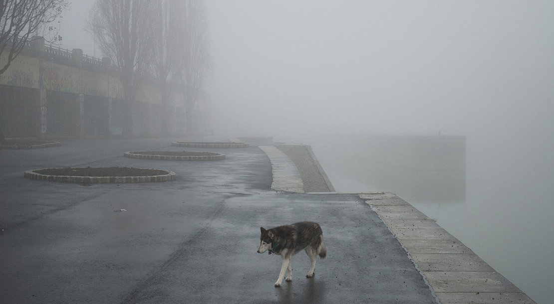 Reinhard Mandl: am Donaukanal, 2007, Wien Museum, Inv. Nr. MUSA 25/2014/263 