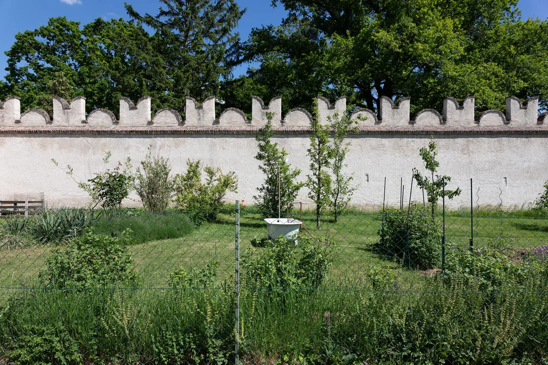 Schloss Neugebäude, 2024, Foto: Elodie Grethen