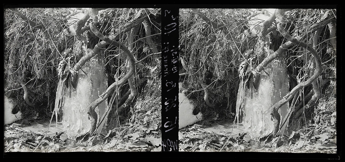 Karl Pollak, Eisgebilde, Stereonegativ (Glas), hier positiv gezeigt, 1931, Pollak-Negativverzeichnis Winteraufnahme 94, Wien Museum, Inv.-Nr. 316542/50/1  