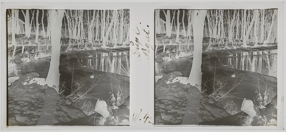 Karl Pollak, Am Teich, Stereonegativ (Glas), 15.01.1931, Pollak-Negativverzeichnis Winteraufnahme 42, Wien Museum, Inv.-Nr. 316542/18/1  