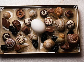 Die pessimistische Philosophin Helene von Druskowitz