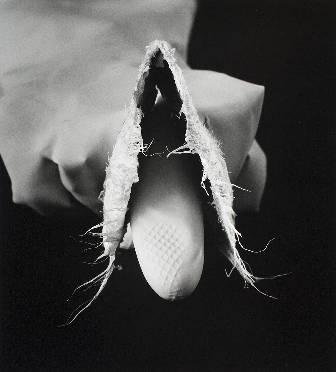 Elfriede Mejchar: aus „Verseltsamte Stilleben N°1, 1988, Wien Museum