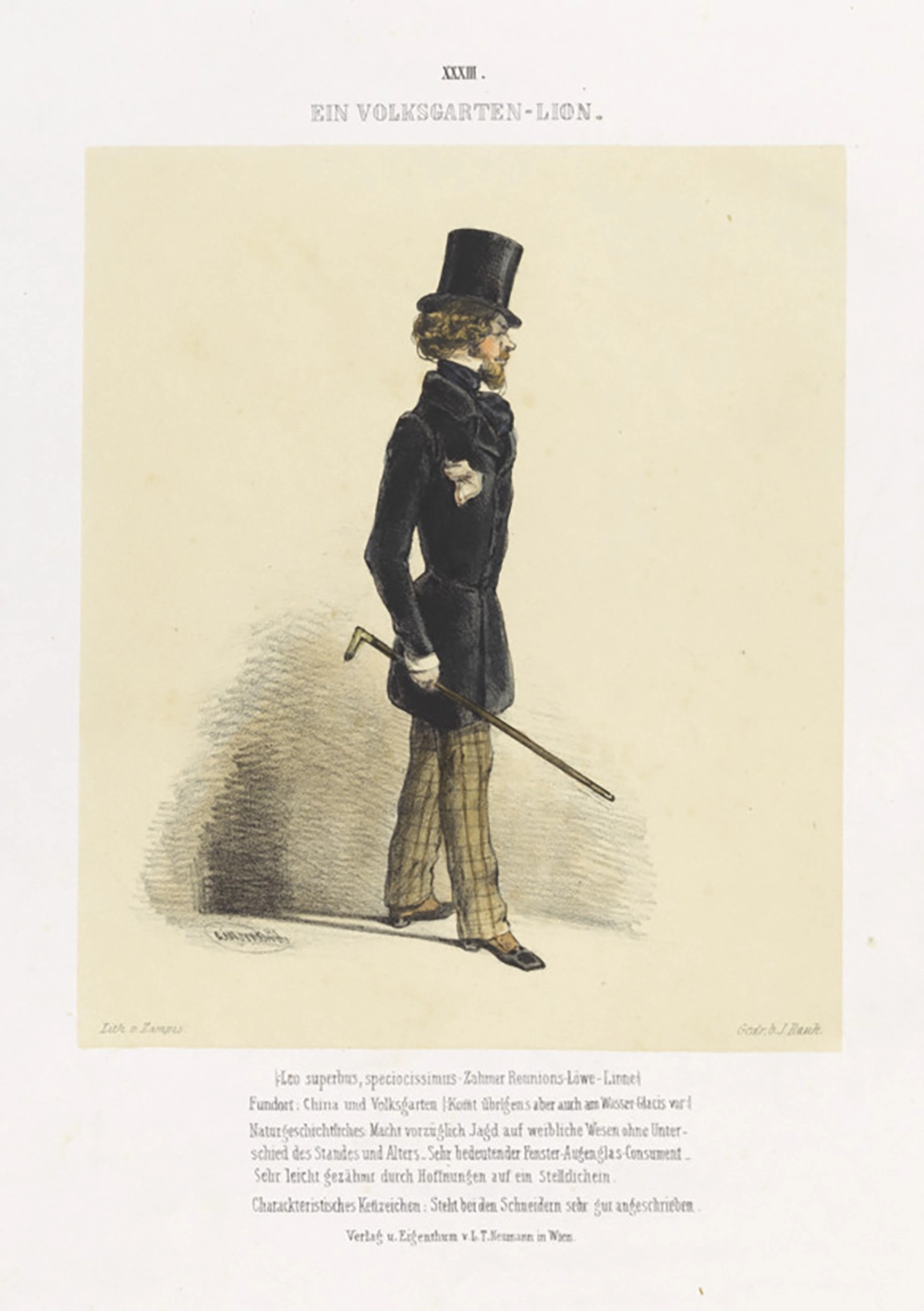 August Zampis: „Wiener Charaktere in bildlichen Darstellungen": „XXXIII. Ein Volksgarten-Lion." Lithografie, 1847, Wien Museum  