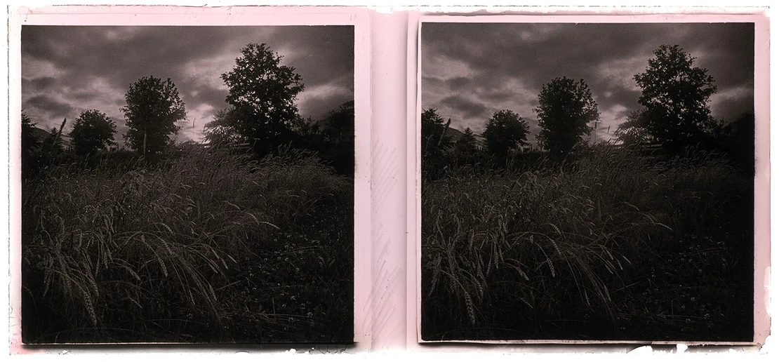 Karl Pollak, Kornfeld, Stereopositiv (Glas), 1931, nicht im Pollak-Negativverzeichnis, Wien Museum, Inv.-Nr. 316543/1/2  