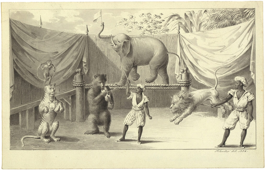 Tierdressurakt, Aquarell von Johann Christian Schoeller, 1834, Wien Museum 